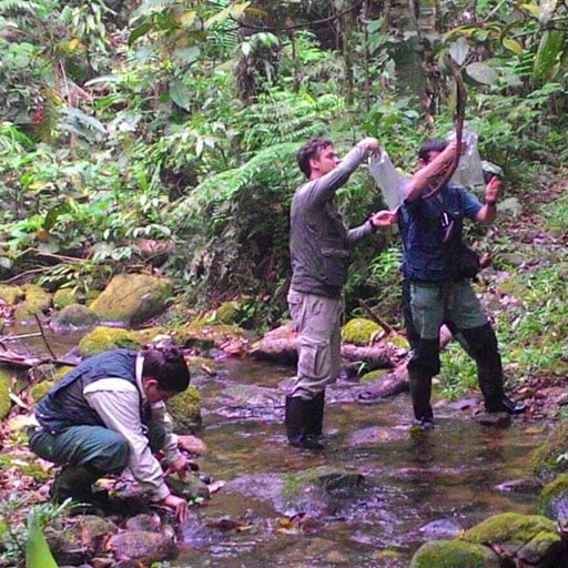 Capítulo 6: Na cola da bicharada