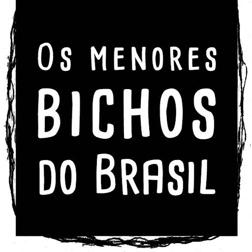Os menores bichos do Brasil
